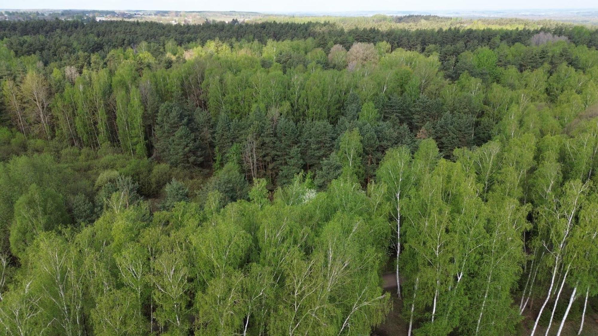 Dom Wakacyjny Z Ogromnym Ogrodem Witaszyn Exterior photo